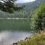 Chez Gege * La Bresse