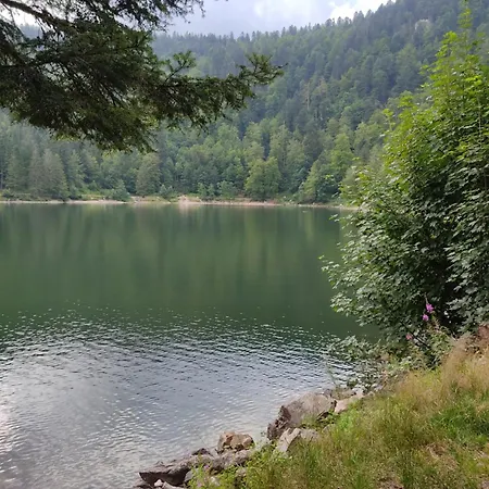 Chez Gege * La Bresse