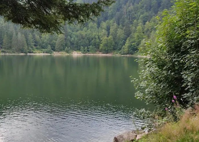 Chez Gege * La Bresse